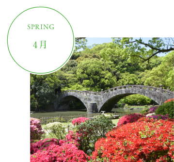 諫早つつじ祭り