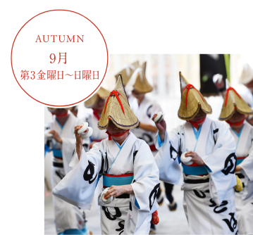 のんのこ諫早まつり